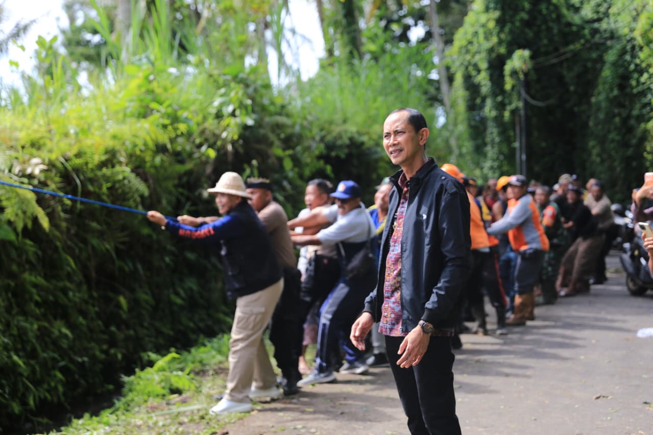 Wabup Tjok Surya TinjauPohon Beringin Roboh di Desa Getakan, Yang Akibatkan Akses Jalan Terputus